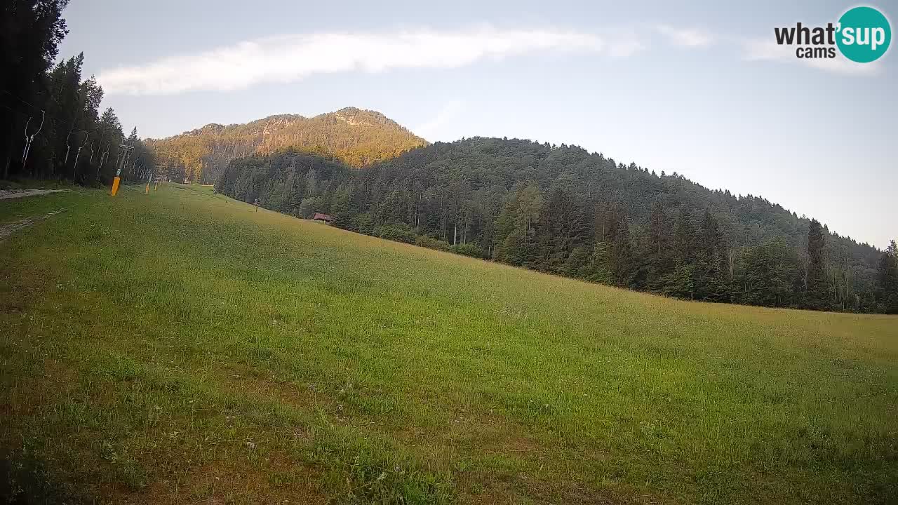 Comprensorio sciistico Kranjska Gora | Brsnina
