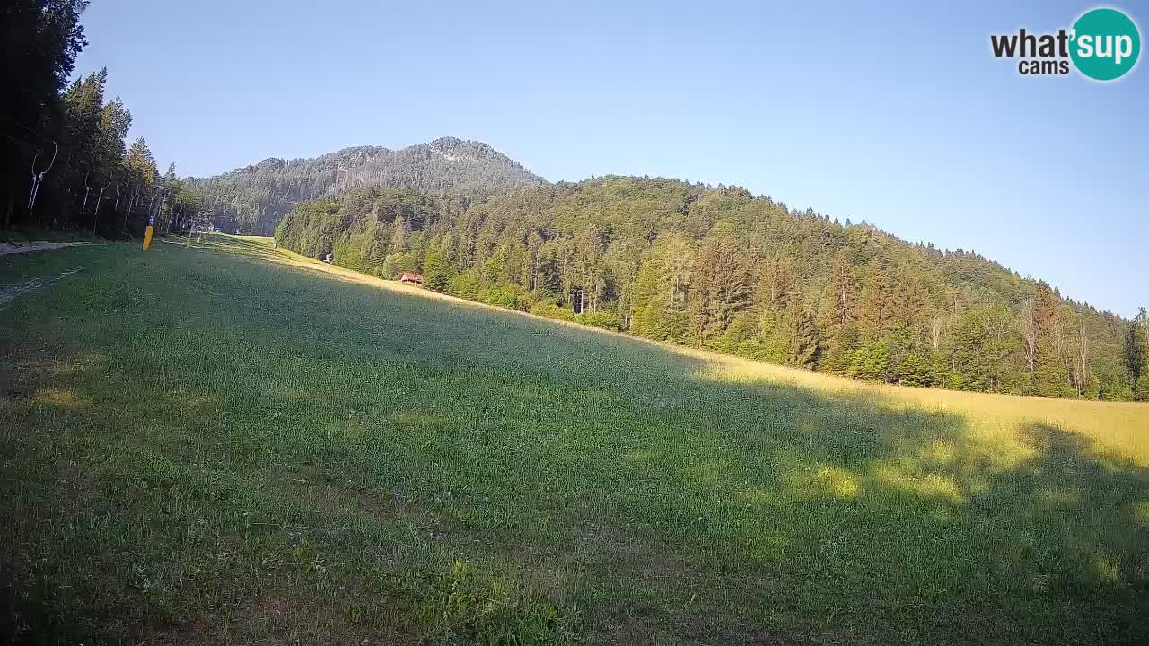Comprensorio sciistico Kranjska Gora | Brsnina