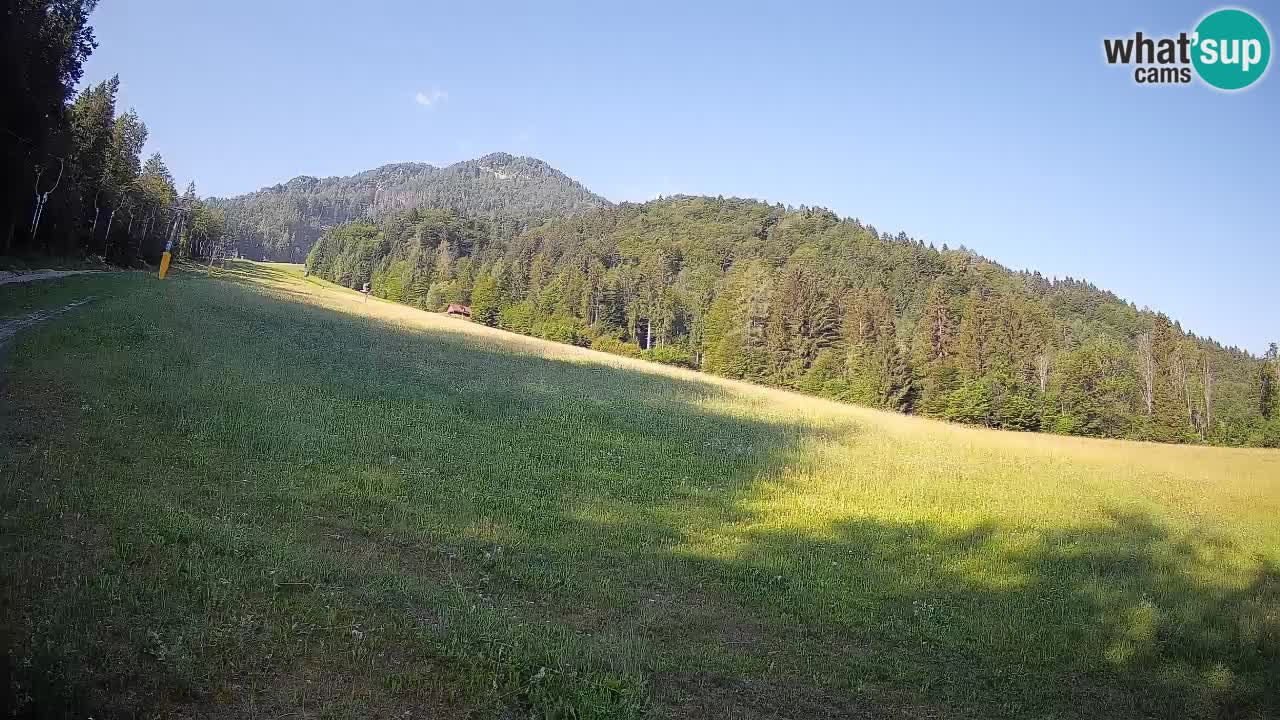 Kranjska Gora Station de ski | Brsnina