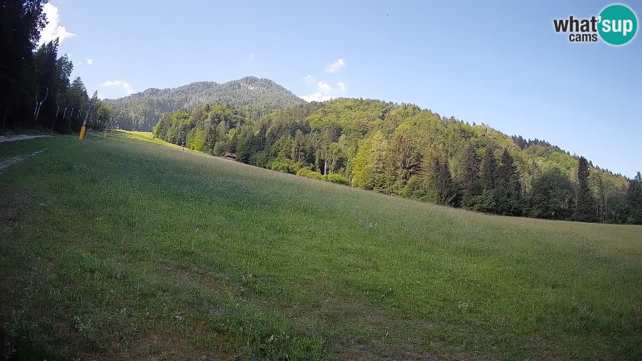 Ski Kranjska Gora | Brsnina