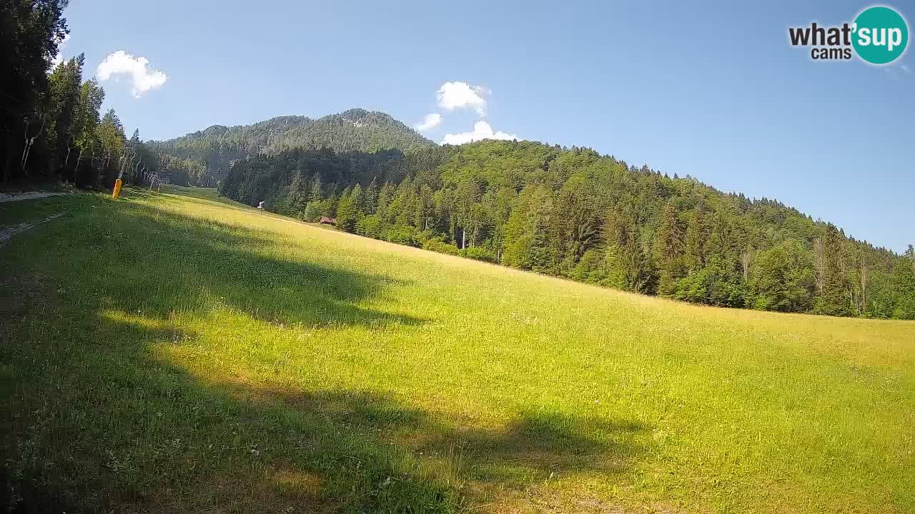 Comprensorio sciistico Kranjska Gora | Brsnina