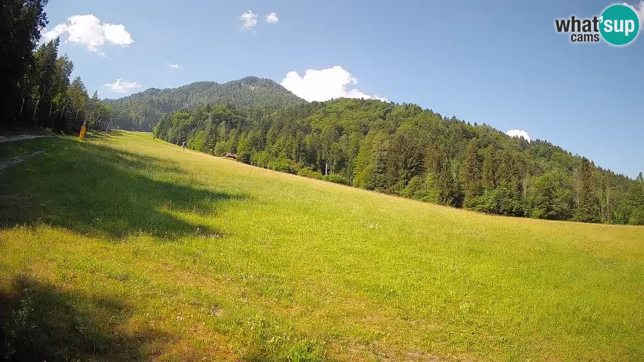 Esquí Kranjska Gora | Brsnina