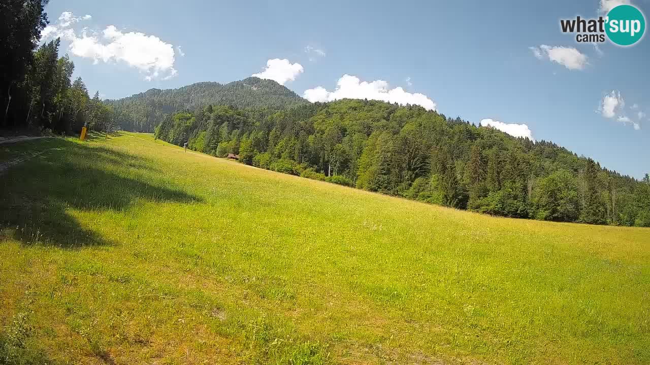 Kranjska Gora Station de ski | Brsnina