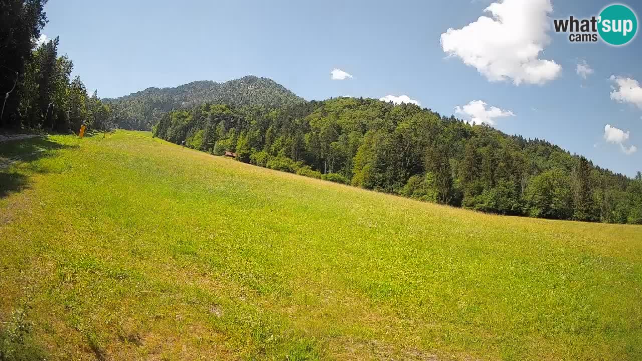 Comprensorio sciistico Kranjska Gora | Brsnina
