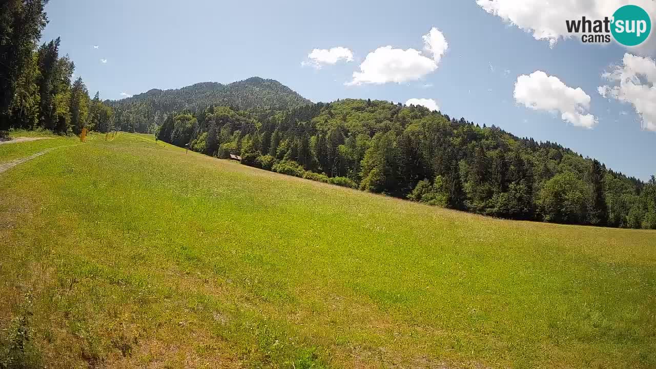 RTC Skigebiet Kranjska Gora | Brsnina