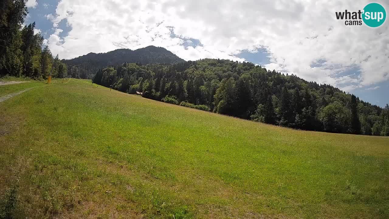 RTC Kranjska Gora | Brsnina
