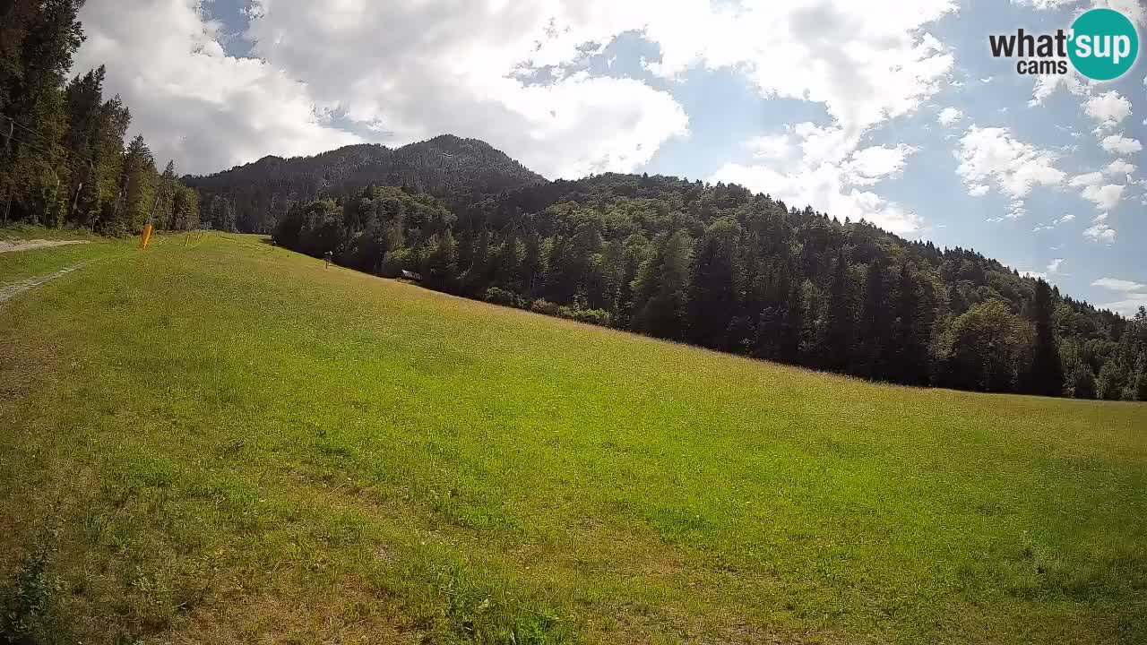 Kranjska Gora Station de ski | Brsnina