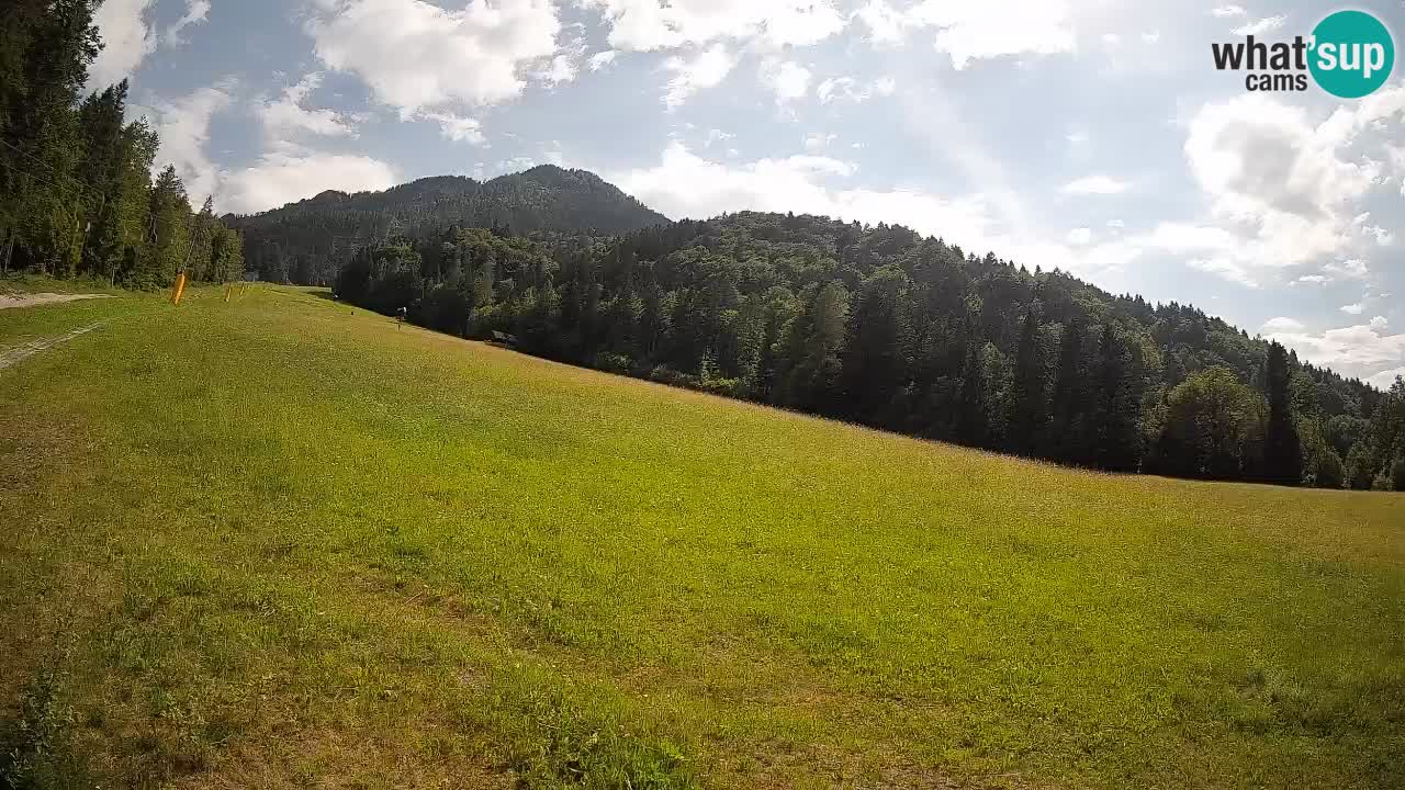 Ski Kranjska Gora | Brsnina