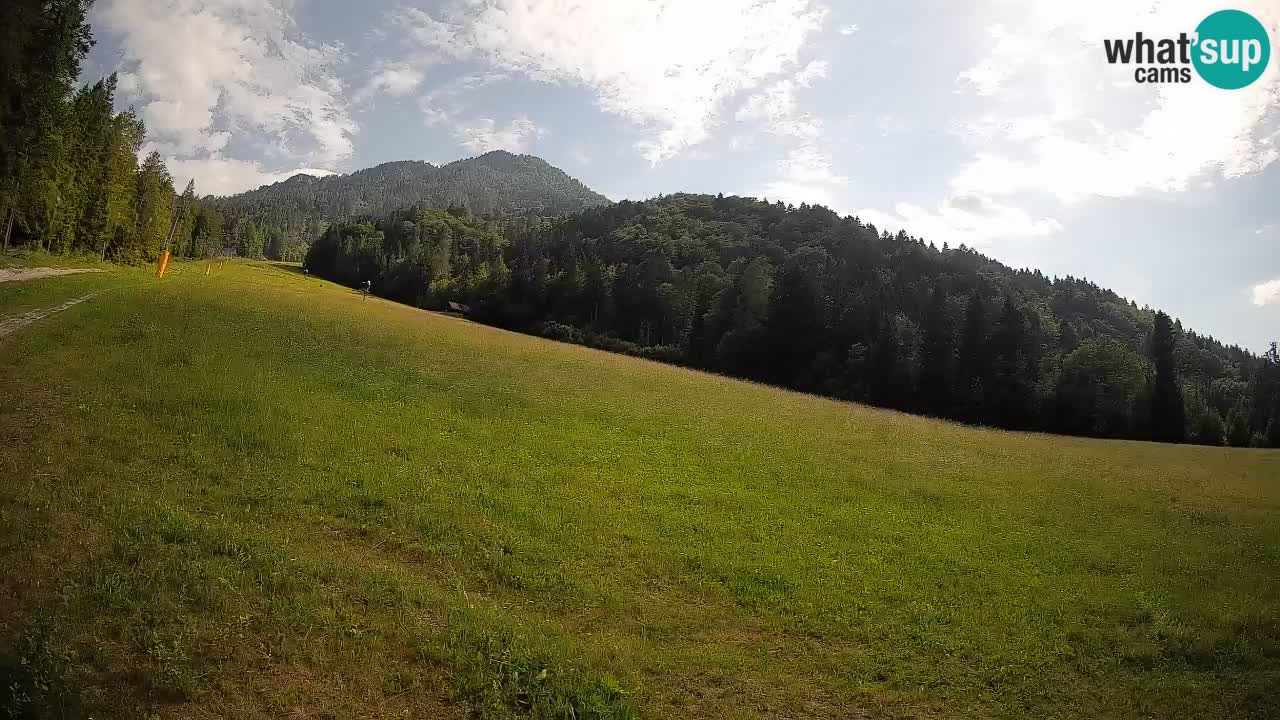 Ski Kranjska Gora | Brsnina