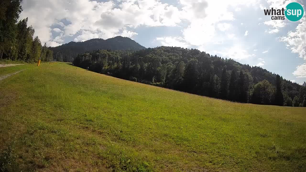 RTC Skigebiet Kranjska Gora | Brsnina