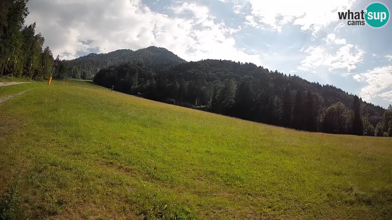 RTC Skigebiet Kranjska Gora | Brsnina