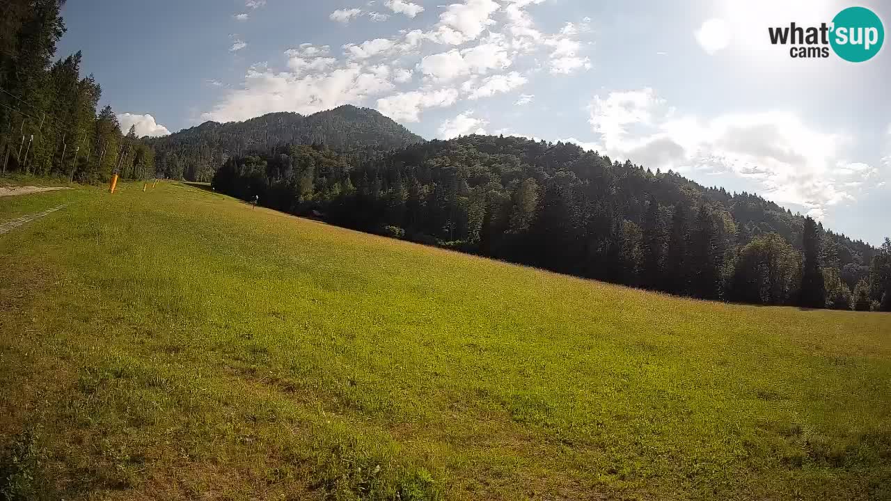 Ski Kranjska Gora | Brsnina