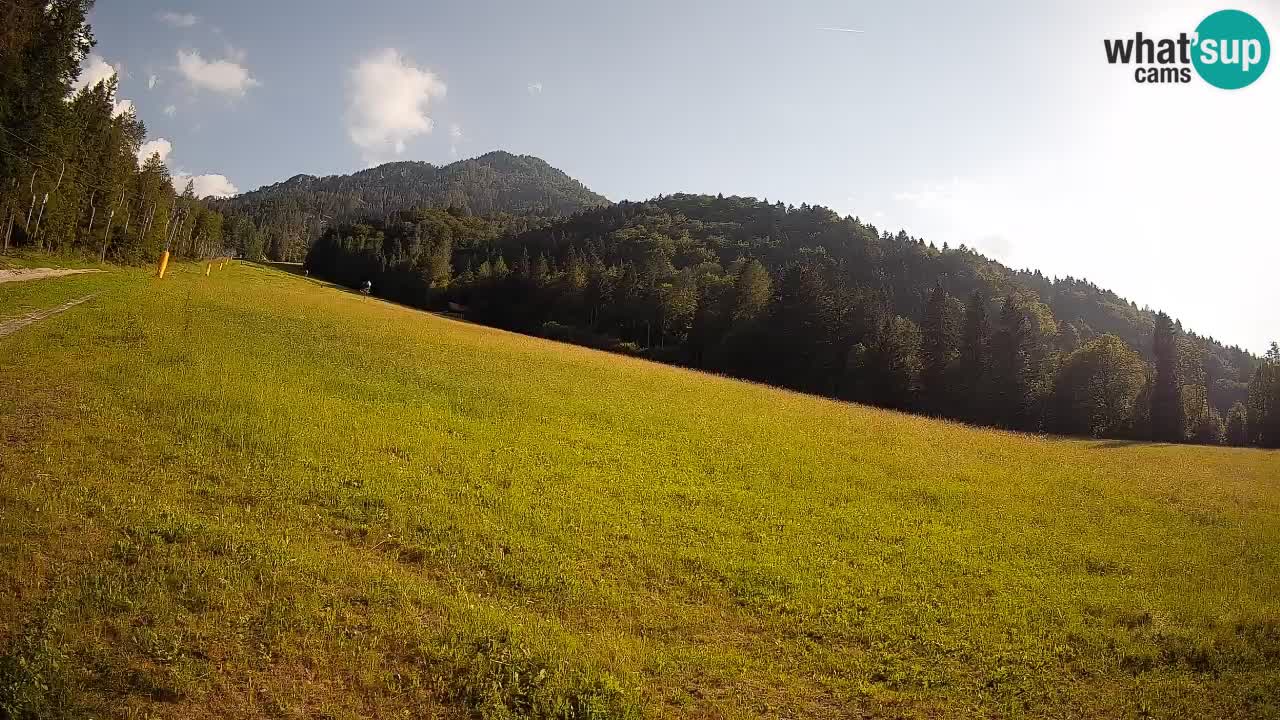 Ski Kranjska Gora | Brsnina