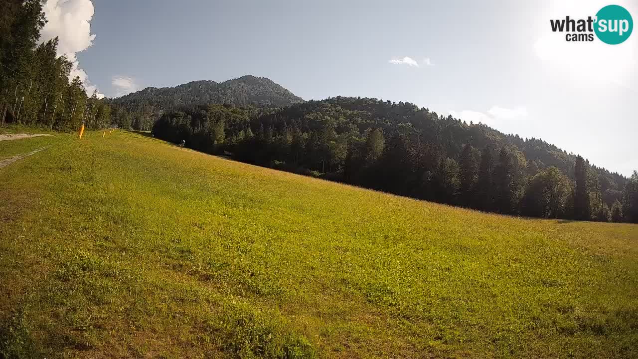 Kranjska Gora SKIJANJE | Brsnina