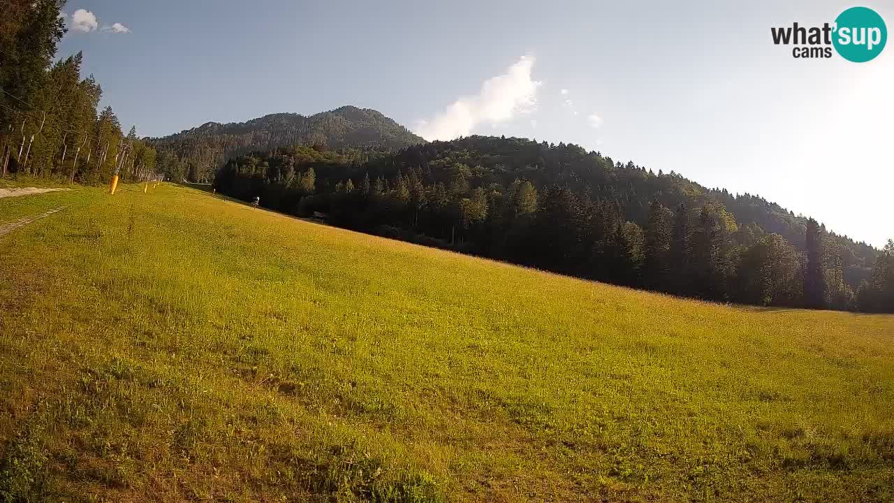Kranjska Gora Station de ski | Brsnina