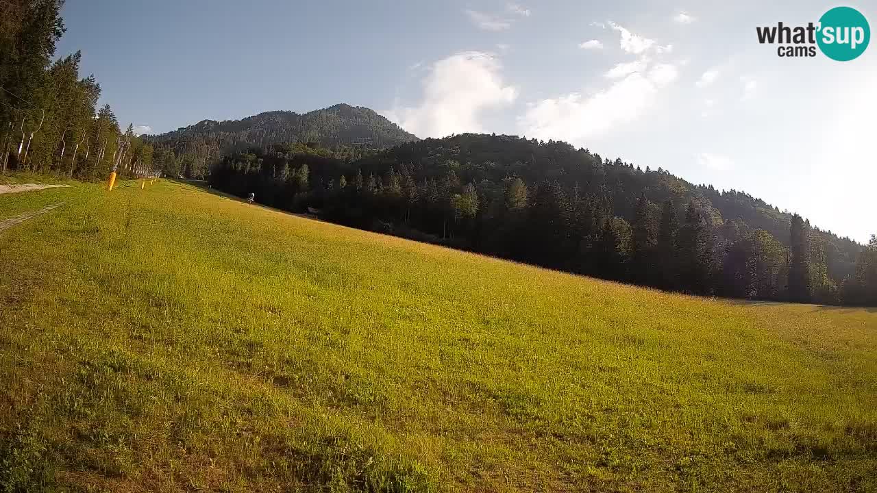 Esquí Kranjska Gora | Brsnina