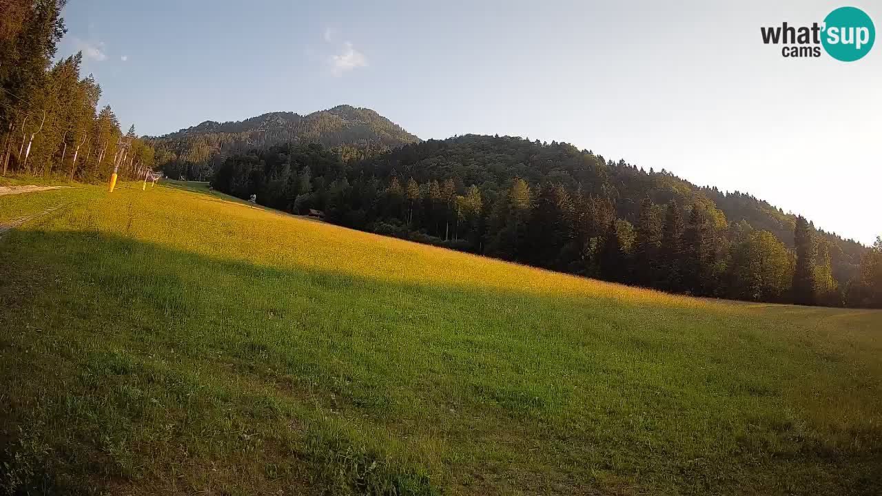 Comprensorio sciistico Kranjska Gora | Brsnina