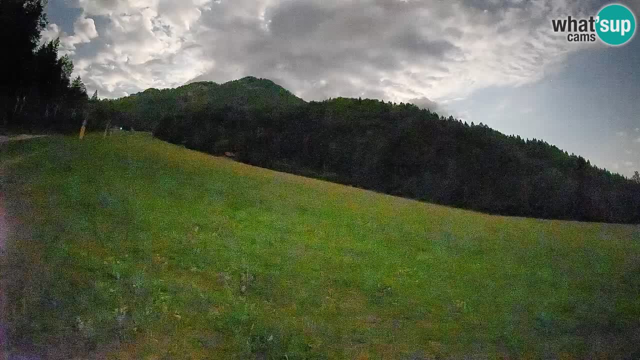 Comprensorio sciistico Kranjska Gora | Brsnina