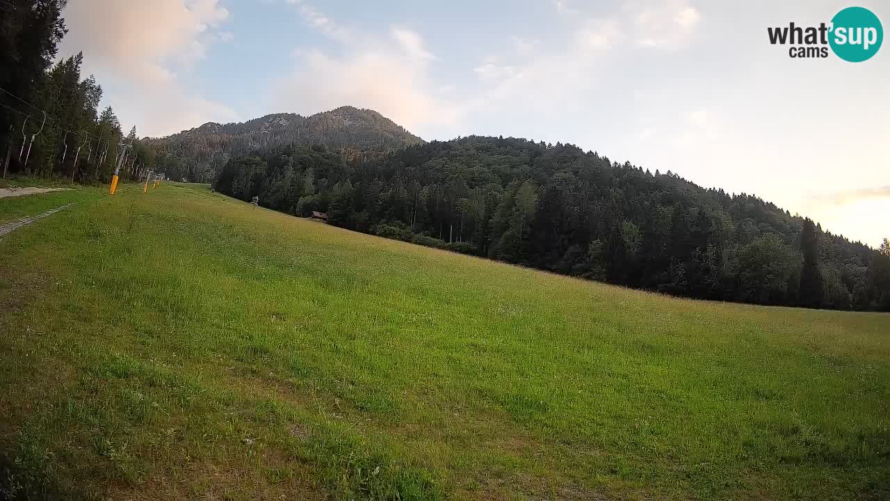 Esquí Kranjska Gora | Brsnina
