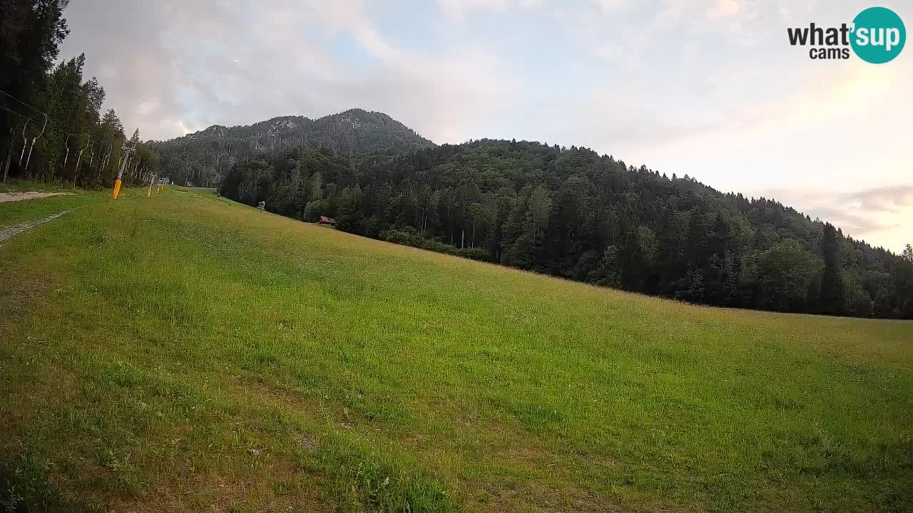RTC Kranjska Gora | Brsnina