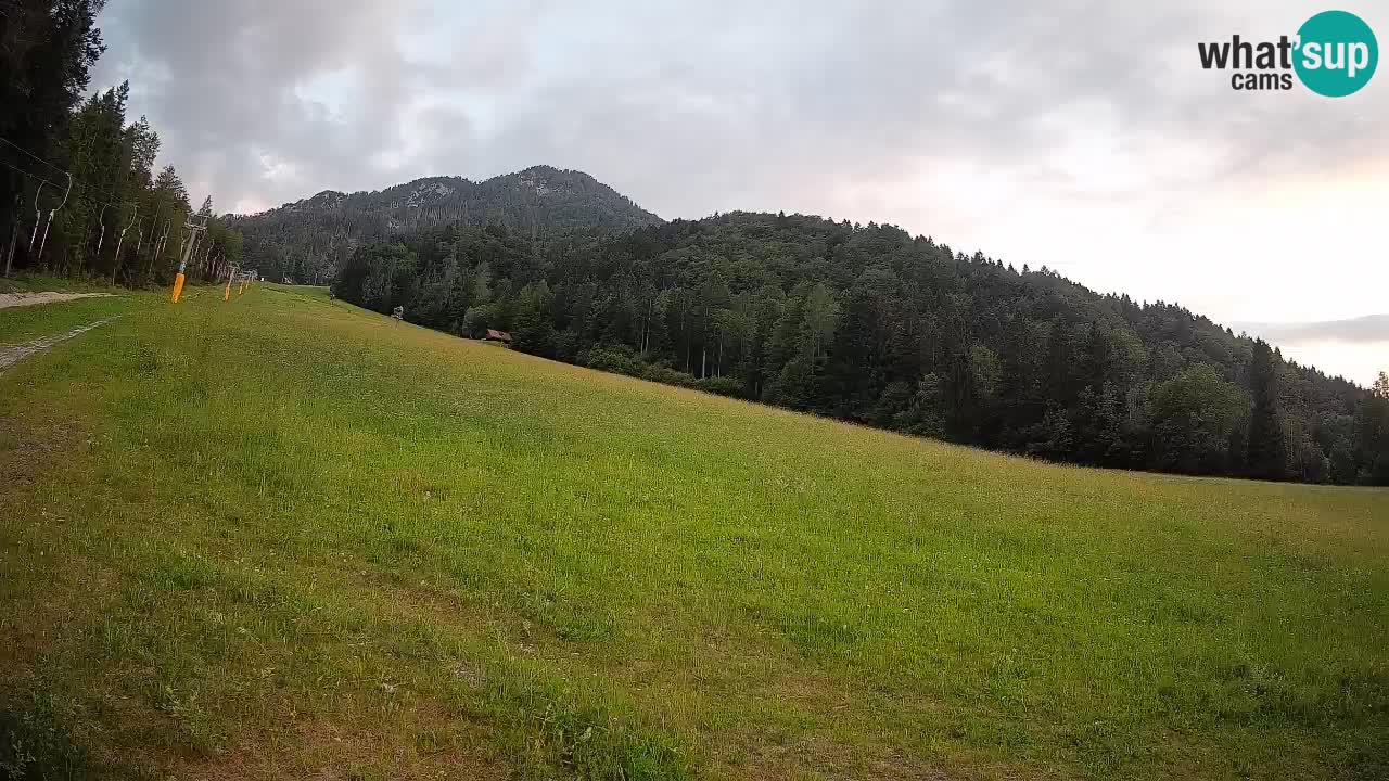 Ski Kranjska Gora | Brsnina