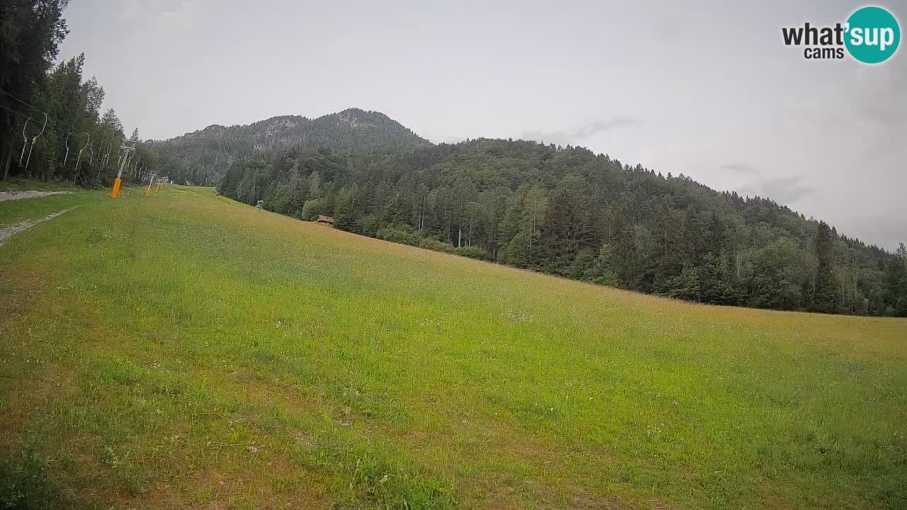 Comprensorio sciistico Kranjska Gora | Brsnina
