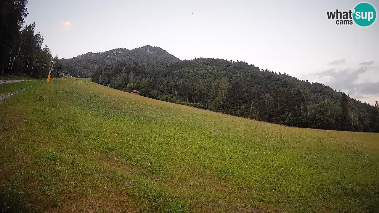 Esquí Kranjska Gora | Brsnina