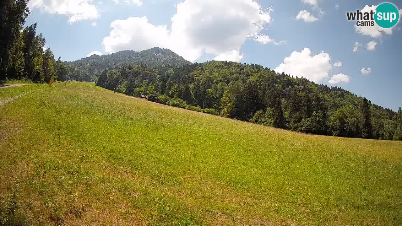 Ski Kranjska Gora | Brsnina