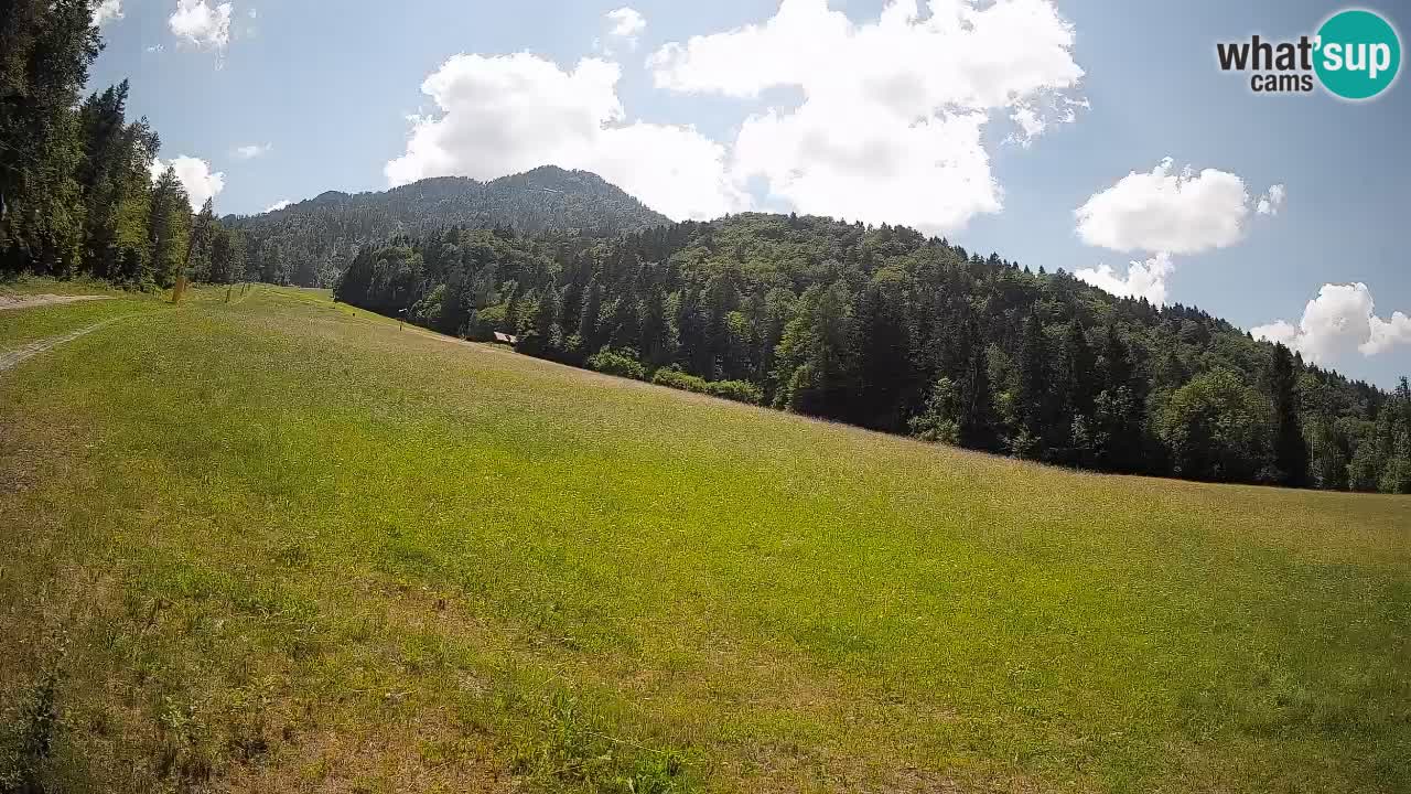 Ski Kranjska Gora | Brsnina