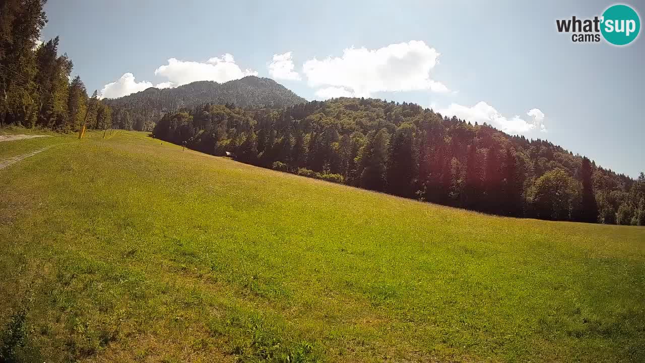 Ski Kranjska Gora | Brsnina