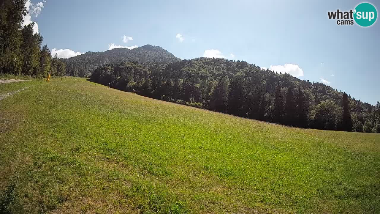 RTC Skigebiet Kranjska Gora | Brsnina