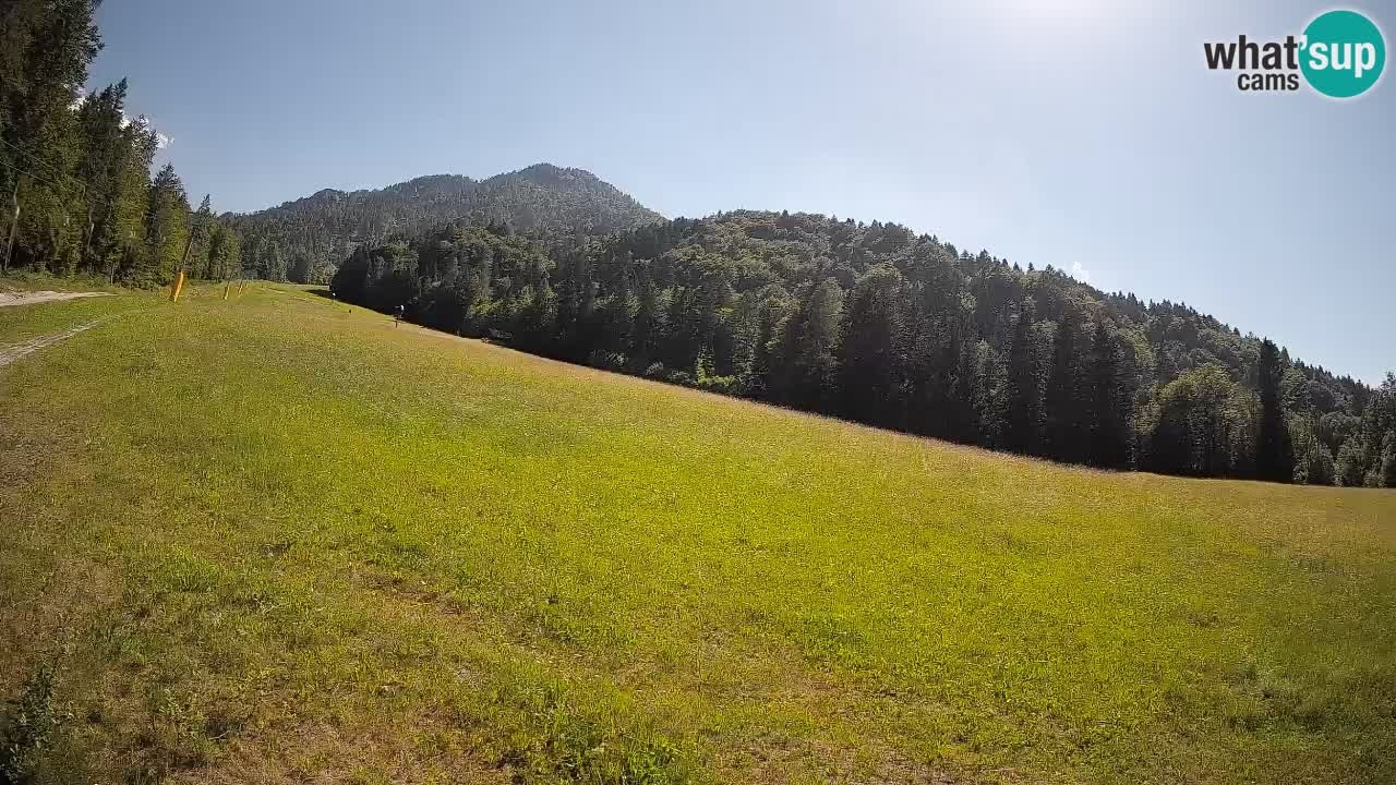 Ski Kranjska Gora | Brsnina