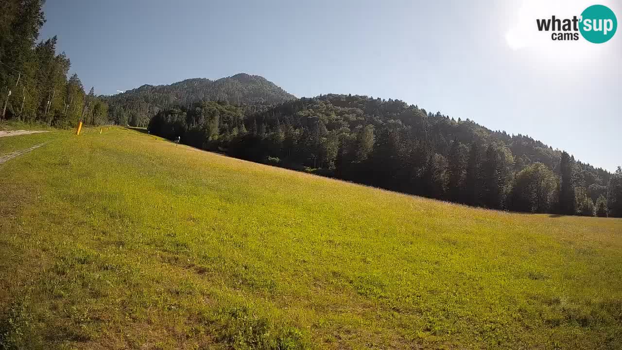 Ski Kranjska Gora | Brsnina