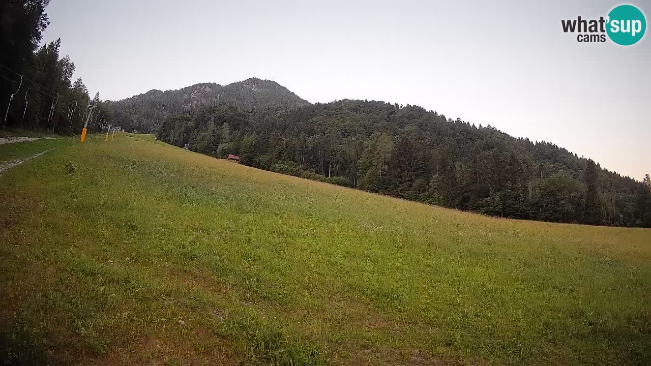 Esquí Kranjska Gora | Brsnina