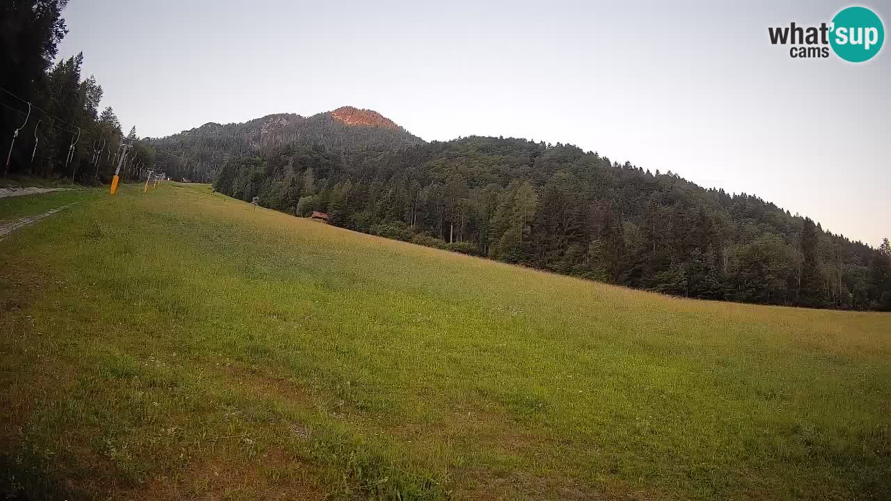 Comprensorio sciistico Kranjska Gora | Brsnina
