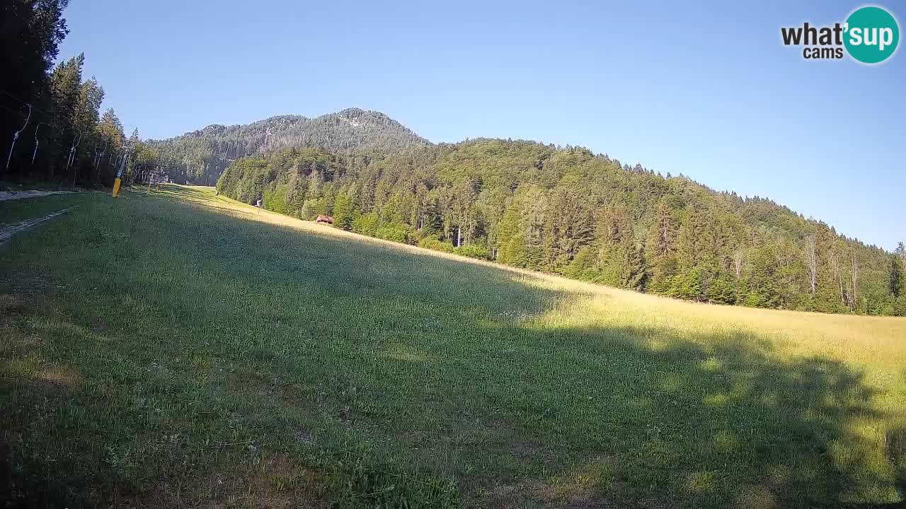 Comprensorio sciistico Kranjska Gora | Brsnina