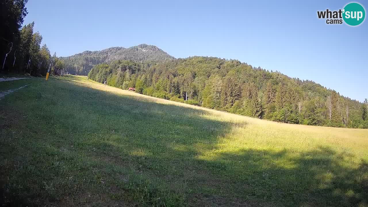 Kranjska Gora SKIJANJE | Brsnina