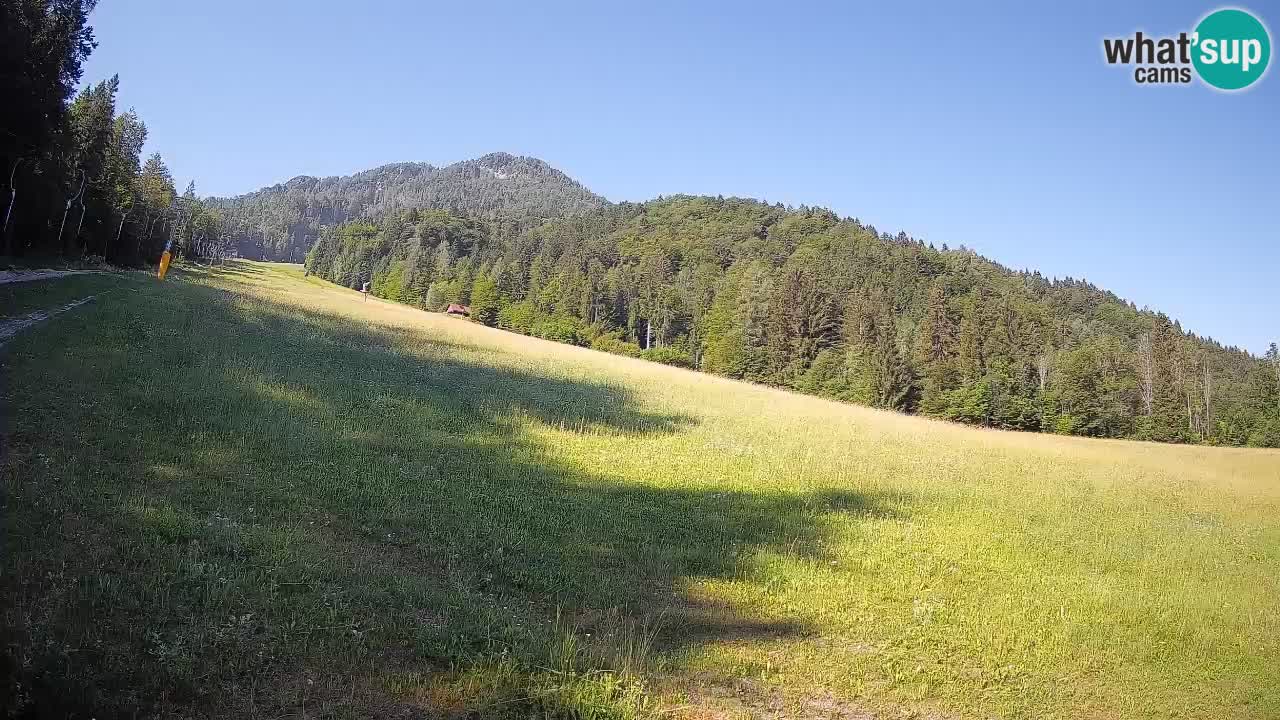 Comprensorio sciistico Kranjska Gora | Brsnina