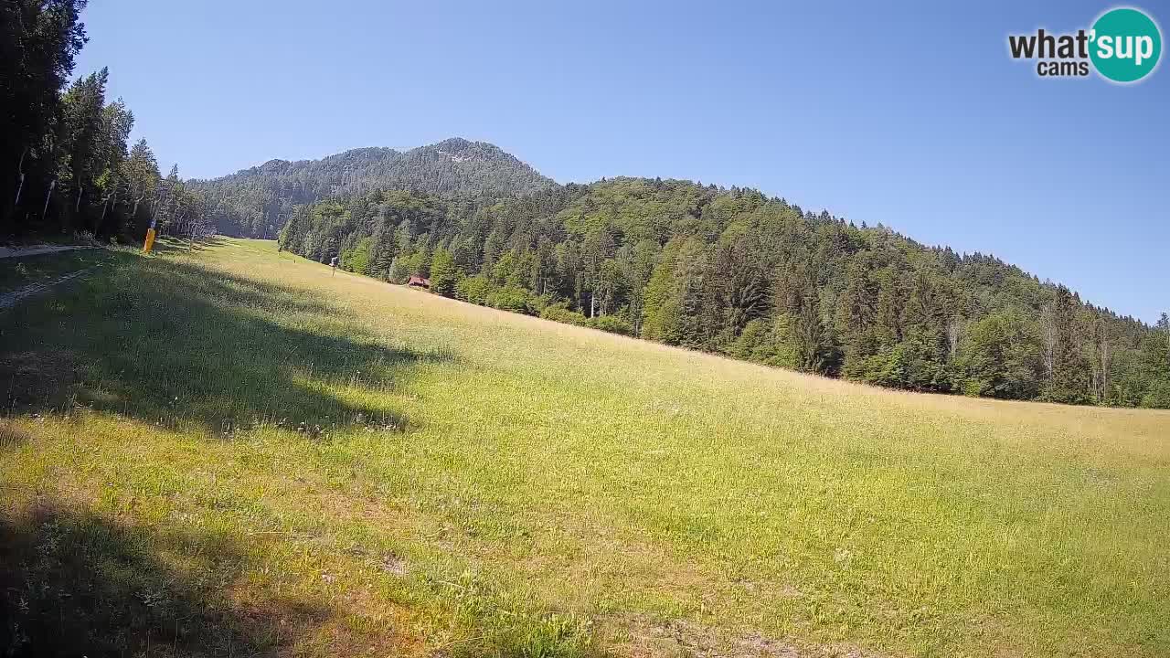 Ski Kranjska Gora | Brsnina