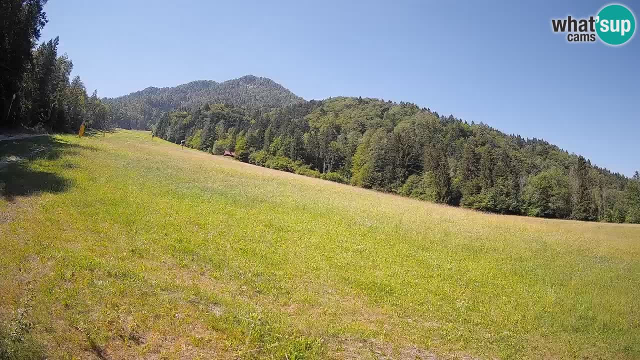 Kranjska Gora SKIJANJE | Brsnina