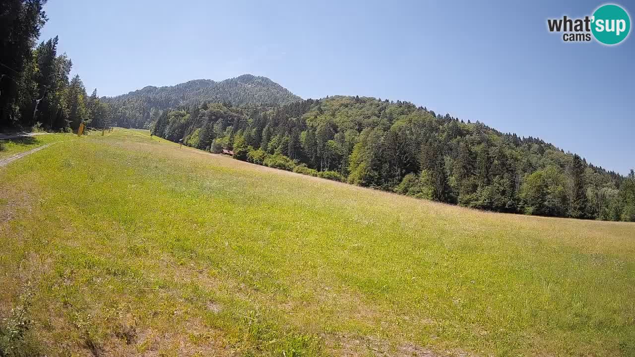 Esquí Kranjska Gora | Brsnina