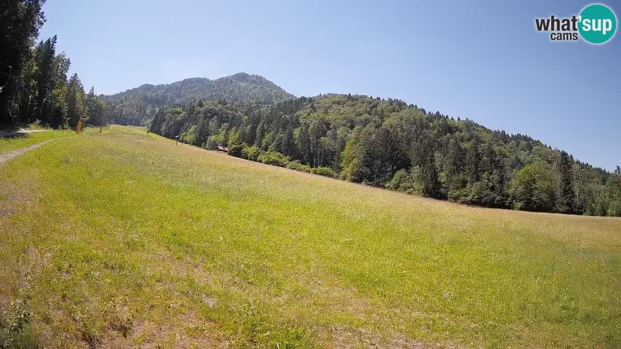 Comprensorio sciistico Kranjska Gora | Brsnina
