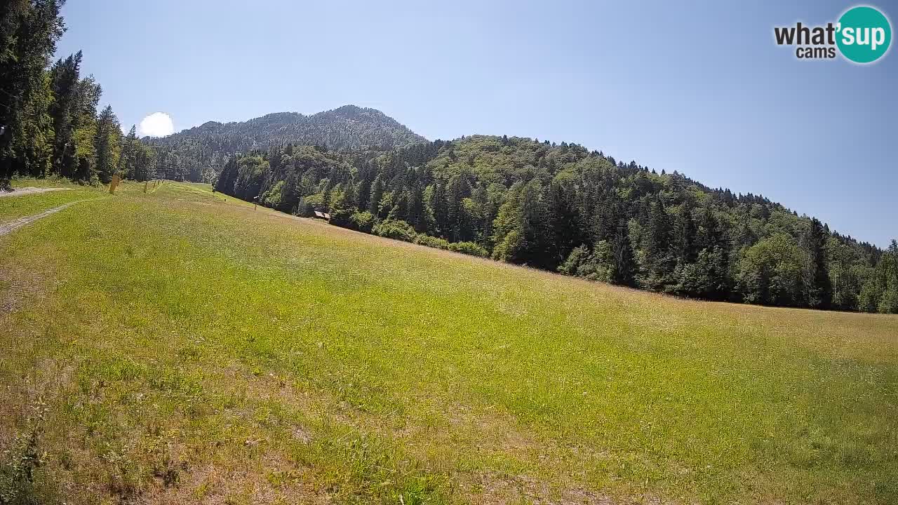Kranjska Gora SKIJANJE | Brsnina