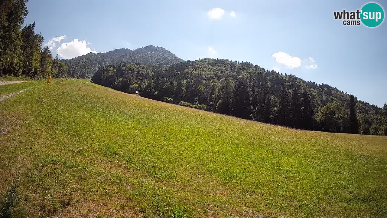 Ski Kranjska Gora | Brsnina