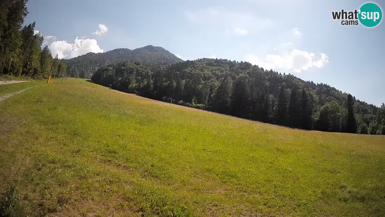 Comprensorio sciistico Kranjska Gora | Brsnina