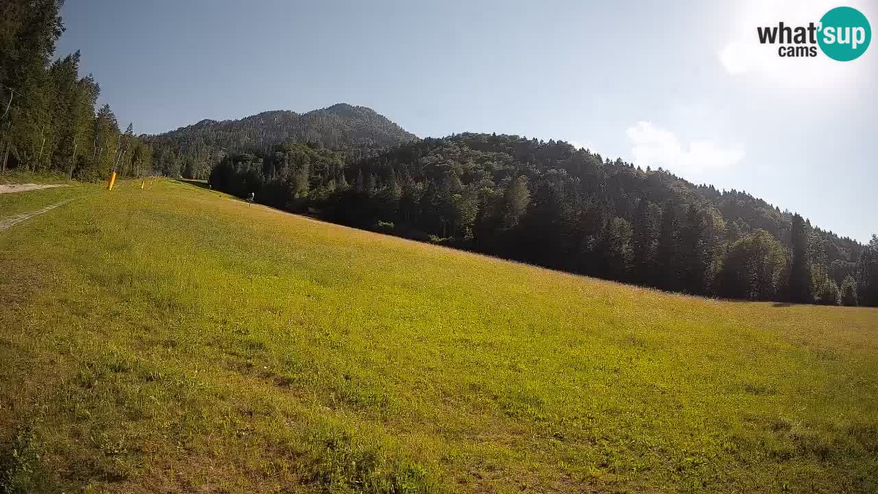 RTC Kranjska Gora | Brsnina