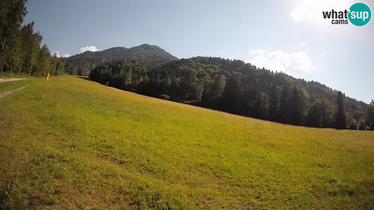 Esquí Kranjska Gora | Brsnina