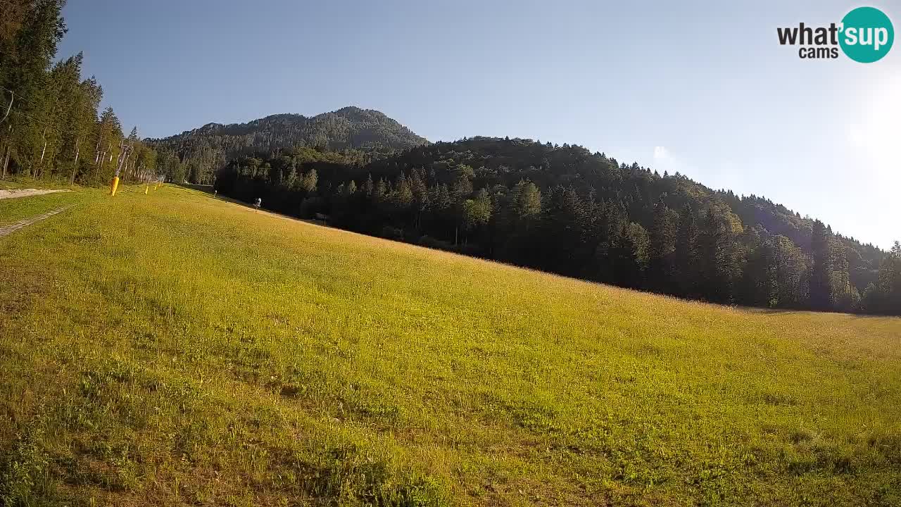 RTC Kranjska Gora | Brsnina