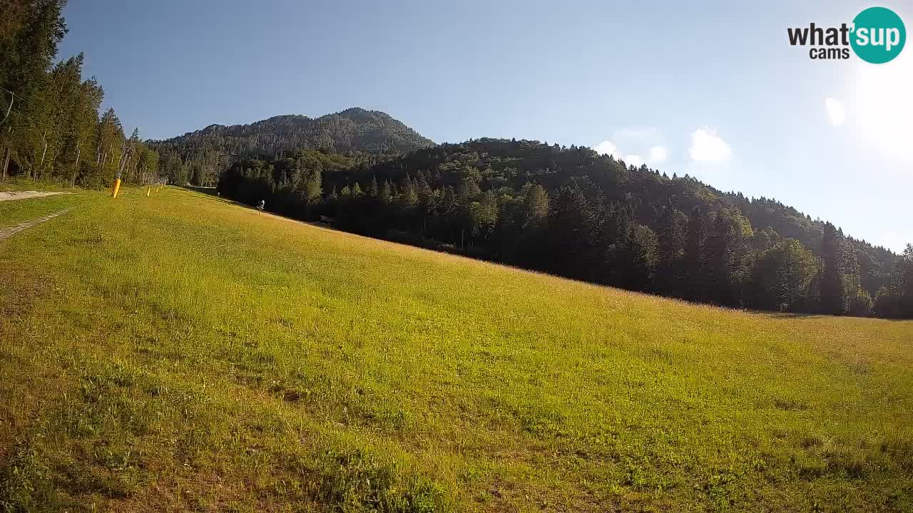Esquí Kranjska Gora | Brsnina