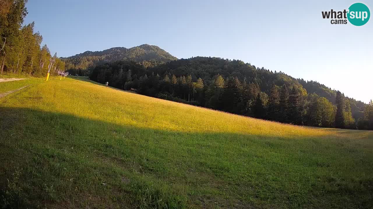 RTC Skigebiet Kranjska Gora | Brsnina